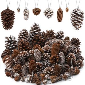 Fovths 66 Pieces Christmas Pine Cones Ornaments with String Natural Rustic Pine Cones Bulk Assorted Sizes Xmas Tree Hanging Pinecone Decoration for Christmas Tree Crafts DIY Gift Party