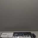 61 Key Keyboard Piano, Electric Piano Keyboard with Built-in Dual Speakers, External Microphone & Power Adapter - Portable Electronic Digital Piano for Beginners & Christmas Gift