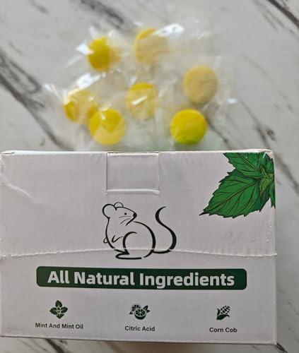Rodent Repellent, Peppermint Oil for Mice, Mouse, Rats, Spider, Roach, Ant, Bugs, Squirrel, Natural Mouse Deterrent Family & Pet Safe