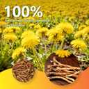 AISDWH Dandelion Root Tea Bags, 60 Count, Caffeine-Free Herbal Tea (EXP 10/31/26)