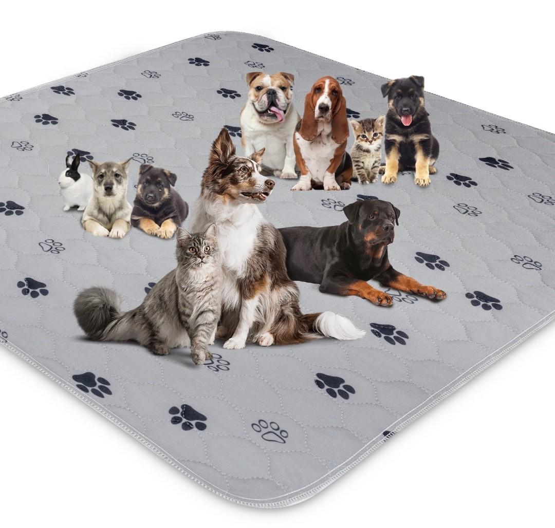 GOGREEN Waterproof Reusable Pets Training Pads Washable Pee Pads for Dogs, Puppy Pads for Potty Training with Leakproof Bottom (1 Pack, 72"x72")