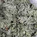 Christmas Cedar Garland with Soft Thickness Pine,Thick and Lush,Artificial Green Faux Cedar Pine Garland for Christmas Winter Home Mantel Fireplace Holiday Party Decor (6Ft) 