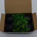 Der Rose Fake Plants 4 Packs Artificial Plants Small Faux Plants Black Bathroom Accessories for Halloween Bathroom Home Kitchen Coffee Table Office Desk Decor Indoor (Green)