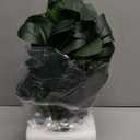 16" Artificial Peperomia Potted Plant in Black Ribbed Ceramic Planter Realistic Faux Green Leaves Tabletop Branches for Indoor Home Office Living Room Shelf Desk Decor, Plant C