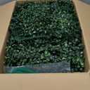 ODTORY Artificial Grass Wall Panel Backdrop,10 X 10 in 24P(16.8 sqft) UV-Anti Greenery Boxwood Panels for Indoor Outdoor Green Wall Decor & Ivy Fence Covering Privacy