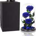Preserved Roses Handmade Preserved Flowers in Glass Dome, Blue Rose Never Withered, Birthday Gifts for Women (13 inch)