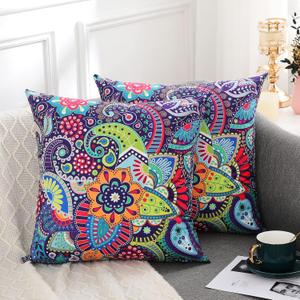 hyha Paisley Throw Pillow Covers 20x20 Inch, Set of 2 Printed Velvet Couch Pillows, Floral Pattern Decorative Pillow Covers, Multicolor Boho Pillow Covers for Bed Couch,(20x20, Paisley Floral)