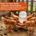 2 x Probiotic + Electrolyte Powder for Chickens, Natural Hydration & Gut Support, Helps Digestive Health, Egg Production, Best By: 2025/12/19