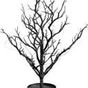 Nearly Natural 24" Pre-Lit Black Twig Halloween Tree with 60 LED Lights