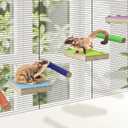 BNOSDM 6PCS Sugar Glider Pole Stand Toy Natural Wood Climbing Platform Colorful Paw Grinding Perch for Sugar Glider Cage Accessories Exercise Toys for Squirrels Hamster Chinchillas Rats Gerbil