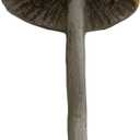 Bohemian Mushroom Wall Hook - Unique Cute Cool Fun Wall Hook Furniture Room Decor for Coat and Towel - Nursery, Kitchen, Bedroom, Bathroom，Coat Hooks (Triangle)