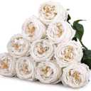 Daifunli 10pcs Real Lifelike Peonies Artificial Flowers, Faux Austin Rose with Long Stem Look Real Fake Flower for Christmas Valentines Arrangement Wedding Party Home Kitchen Decor(White)