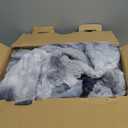 Homemate Heated Blanket Electric Throw - 50"x60" Heating Blanket Throw 1/2/4/6/8 Hours Auto-Off 10 Heat Levels Over-Heat Protection Luxury Faux Fur Sherpa ETL Certification