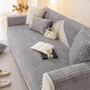 Velvet Couch Cover Sectional, Funny Fuzzy Pet Couch Covers for 2-3 Cushion Sofa, Plush Warm Sofa Covers for Pets Washable, Non-slip Couchs Cover for Pets & Kids(1PC, Light Grey, 35.4"×71")