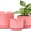 Ton Sin Ceramic Plant Pot with Drainage Hole and Saucer for Indoor Plants, Decorative Round Flower Pot for House Plants, Succulent Orchid Planter(Matte Orange)