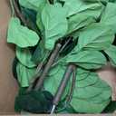 Artificial Fiddle Leaf Fig Tree 6FT with Planter Faux Trees Indoor Tall Artificial Tree, Stable Base, 84 Realistic Leaves, for Indoor/Outdoor Home Office Living Room Decor, Housewarming Gift
