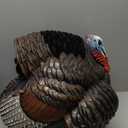 AVIAN-X HDR Strutter Turkey Decoy - Rugged Durable Realistic Lifelike Dominant Body Standing Hunting Decoy with 2 Removable Heads & Wings, Beard, Adjustable Tail Fan, Mounting Stake & Carry Bag