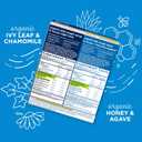 Mommy's Bliss Organic Cough Syrup & Mucus for Kids, Day and Night Combo Pack with Vitamin C and Immunity Support, Contains Organic Honey and Ivy Leaf, 4 Fl Oz (Pack of 2)