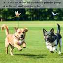 PWireless 8 PCS Colorful Dragonfly Clips 3D Simulation Dragonfly Pole for Outdoor Indoor Fake Plastics Dragonfly for Garden Stakes Yard Patio Ornaments with Clip for Hat Clothes, Fly Scare Devices