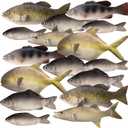 8 Pcs Realistic Fake Fish Toy 6 Types Lifelike Stuffed Artificial Fish Models for Photography Props Party Favor Display Kitchen Decor