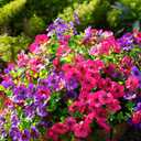 trytuny Artificial Flowers for Outdoor, UV Resistant Fake Silk Flowers, Realistic Faux Plants for Outside Indoor Porch Patio Window Box Planter Home Decor (14, Purple Rosy Pink)