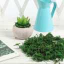 2 x DECHOUS Fake Moss: Artificial Preserved Moss for Plants Bonsai Crafts Fausse Mousse for Terrarium Plant Pot (About 20G)