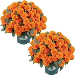 16" Artificial Mums Potted Plant, Faux Fall Chrysanthemum Flowers in Pot for Autumn Decor, Rustic Farmhouse Seasonal Decoration for Front Porch Entryway Indoor Outdoor Use (Orange)