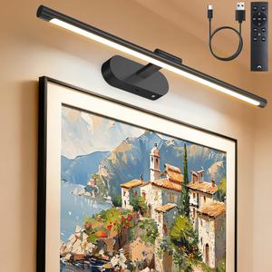 Glendan 24" Wireless Picture Lights for Wall, Art Light with Remote & Timer