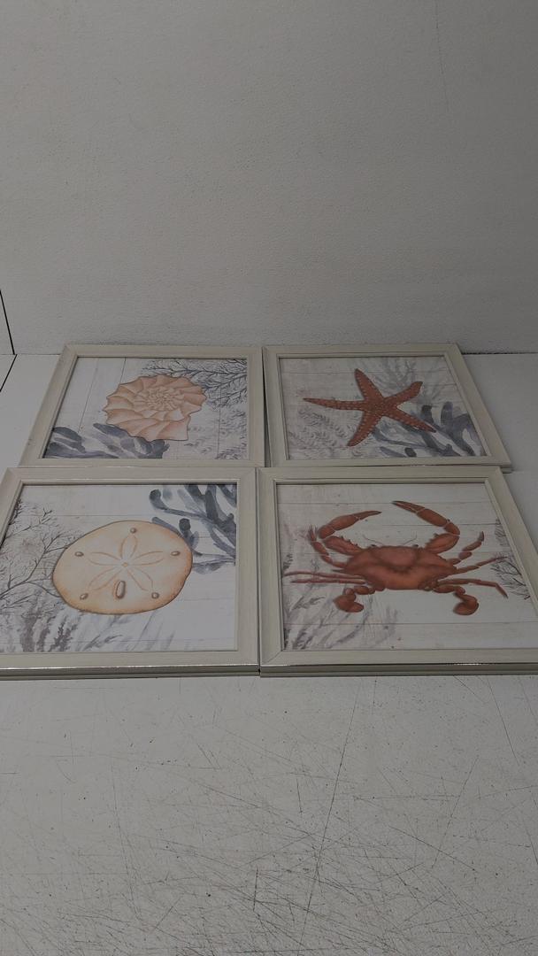 Ava Barrett Framed Coastal 16" x 16" Coral Prints, 4-pc Wall Art Set, Multicolor