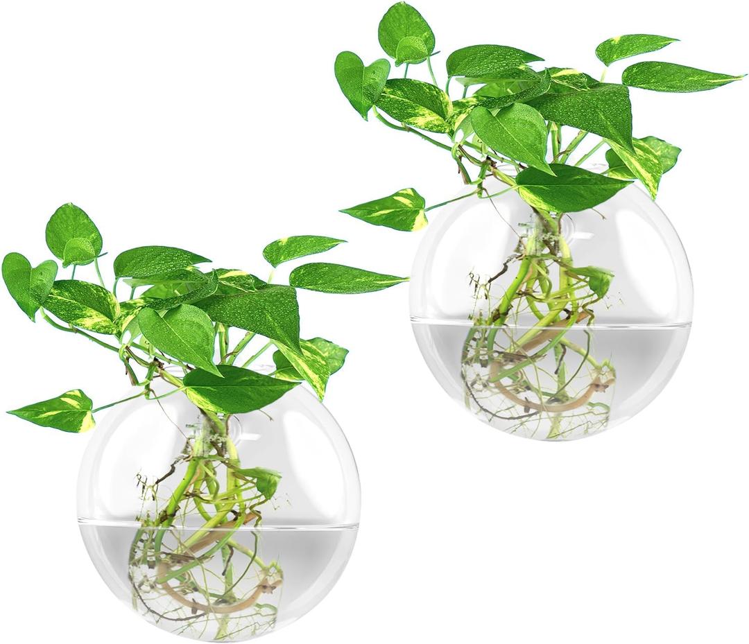 Wall Vases,Wall Hanging Planter Propagation Station,Clear Plant Terrarium Wall Vase,2 PCS Glass Wall Vases for Flowers,Hydroponics Plants,Home Office Decor Present (Plants Not Included)