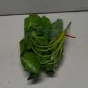 Hollyone 2PCS Artificial Calla Lily Leaves Plants 26.8" Fake Tropical Alocasia Bush Tree Large Faux Greenery Stem Shrubs for Indoor Outdoor Home Garden Arrangement Jungle Safari Wedding Party Decor