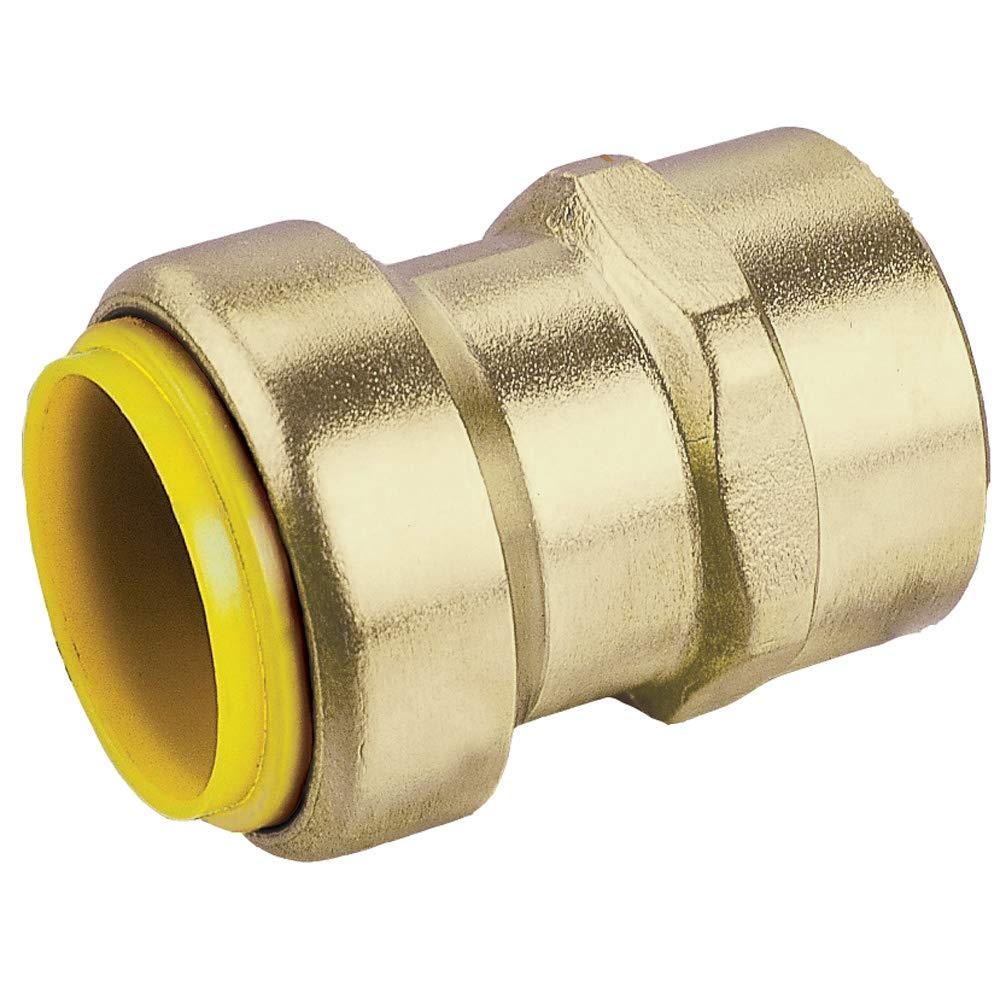 Webstone 3/4 PRO-Push x FPT LF STR CNCT