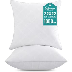 Oubonun 22x22 Throw Pillows Inserts, 2 Pack Square Decorative Pillows Inserts, Soft Fluffy Plump Pillow Sham Stuffer for Bed Couch Sofa Cushion