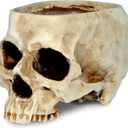 READAEER Skull Planter with Drain Hole, Resin Skull Shaped Flower Pot Candy Bowl, Gothic Decoration for Home Office Desk- White