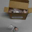 Mallard Resin Ducks, Unique Mini Mallard Resin Ducks Decor, Nature Birds Lovers Duck Hunting Decoration for Ducky Birthday Party Favor Gift (25 Pcs)