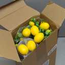 Mimorou 3 Sets Artificial Potted Lemon Decor Fake Fruit Lemon Flowers Table Centerpiece Faux Summer Kitchen Vases Tiered Tray Decor Farmhouse Plant for Indoor Outdoor Home Bathroom Dining