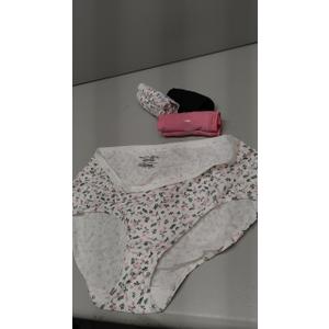 Hanes womens Ribbed Cotton Brief Underwear 6-pack