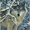 Dawhud Direct Wolf Fleece Blanket Queen Size Winter Blanket for Adults and Kids - 75x90 Inches Soft and Durable Plush Throw for Bed - Thoughtful Gift for Animal Lovers and Wolf-Themed Decor (Broken Silence Wolf)