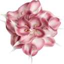 IPOPU Pink Fake Calla Lily Flowers 24PCS Real Touch Pink Calla Lily Faux Flowers Arrangement for Home Party Wedding Bouquet Centerpieces Flower Home Decoration (Pink)