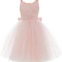 PLwedding Flower Girls Lace Tulle Ball Gowns First Communion Dresses (2-T,  Pink)