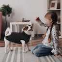 Kuoser Large Dog Coat, Windproof Jackets for Large Dogs, Warm Doggie Coat with Harness Built in, Dog Cold Weather Coats Snow Jacket for Labrador Beagle, Black XXL (XXL (Chest Girth: 35.4''))