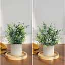 Velener 2 Pcs Small Fake Plants Eucalyptus, Artificial Plants Indoor for Shelf, Potted Eucalyptus Plants for Home/Bathroom/Pottery Barn/Desk/Farmhouse/Coffee Table Decor (Sage Green)