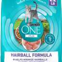Purina ONE Natural Cat Food for Hairball Control, +PLUS Hairball Formula - 22 lb. Bag (EXP: OCT 2027)