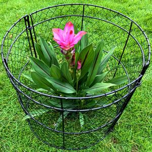 10 Pack Garden Cloches for Plants, Chicken Wire Cloche, 14" D x 16" H Wire Plant Protector, Plant Protectors from Animals, Garden Cloche, Protection for Your Plants and Seedlings - Black