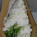 U'Artlines 36 Pack (Total 139 Feet) Artificial Fake Wisteria Vine Rattan Hanging Garland Silk Flowers String Home Party Wedding Decor (36, White)