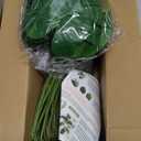 RECUTMS 6 Bundles Fake Plants Artificial Tropical Palm Leaves Tree Faux Monstera Shrubs Green Plant Turtle Leaf Stems UV Resistant Greenery Indoor Outdoor Home Garden Office Bouquet Filler Decor, 2ft