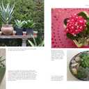 Succulent Container Gardens: Design Eye-Catching Displays with 350 Easy-Care Plants