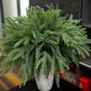 18IN Real Touch Norfolk Pine Branch 10 PCS Artificial Christmas Green Plants Branches Faux Greenery Stem Fake Pine Picks for Vase DIY Crafts Arrangement Garland Wreath Xmas Indoor Outdoor Home Decor