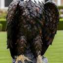 H:24.4 inch Bald Eagle Statue Outdoor, Large Realistic Eagle Sculpture for Garden Decor, Hand-Painted Resin Lawn Eagle Statue, Majestic Yard Art and Patio Decoration