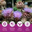 Natural Foundation Supplements Milk Thistle Supplement 240 Tablets Daily Liver Support 70mg 100:1 Extract 3rd Party Tested 80% Silymarin Made in The USA (240), Best Before March 2026